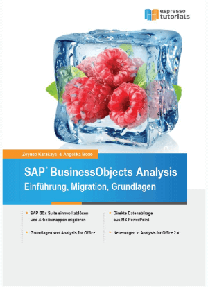 SAP BusinessObjects Analysis - Einführung und Grundlagen