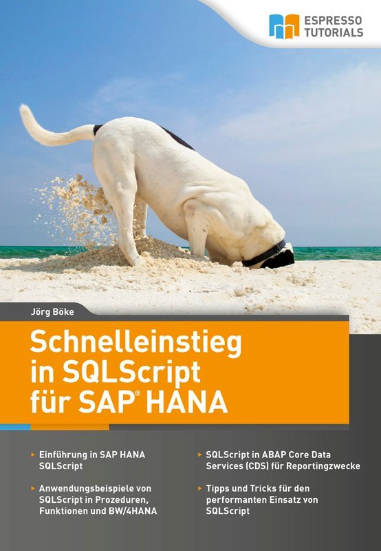 Schnelleinstieg in SQLScript für SAP HANA