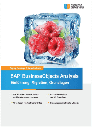 SAP BusinessObjects Analysis - Einführung, Migration, Grundlagen